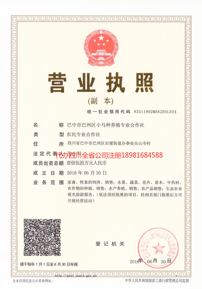 石狮石狮小马种养殖专业合作社